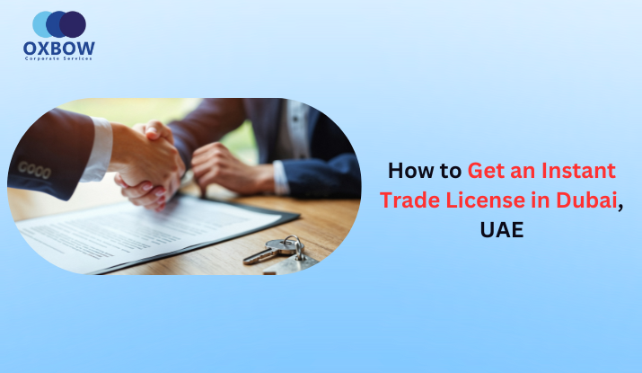 instant trade license in dubai